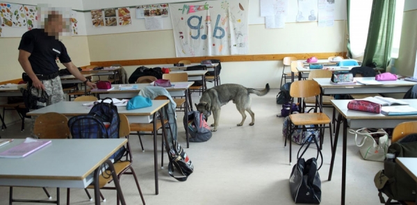 bombát keres a kutya egy kiskunfélegyházi iskolában