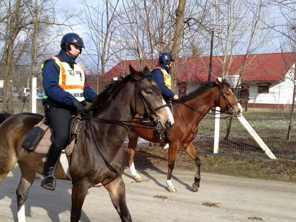 lovasrendőrök 